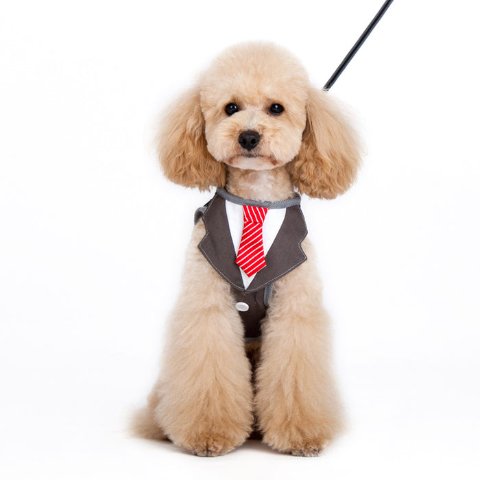 Business Man SnapGo Necktie